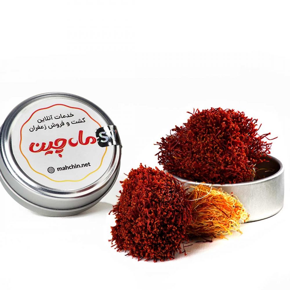 زعفران دخترپیچ ماه چین