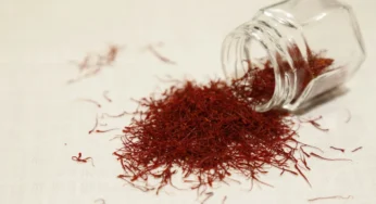 درباره صادرات زعفران به آلمان بیشتر بدانید