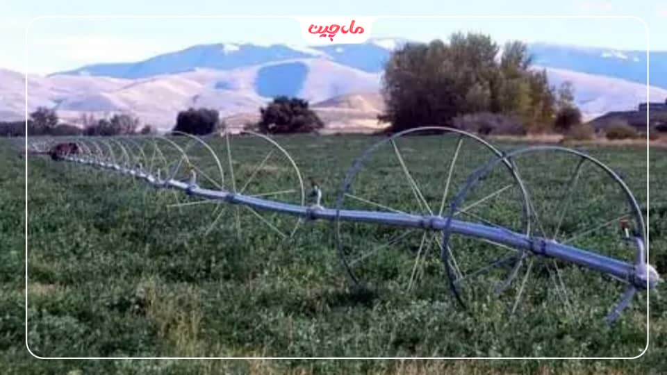 آبیاری زعفران
