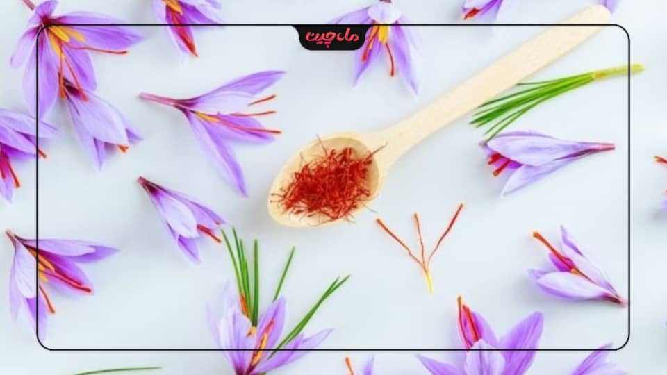 دلایل کشت زعفران
