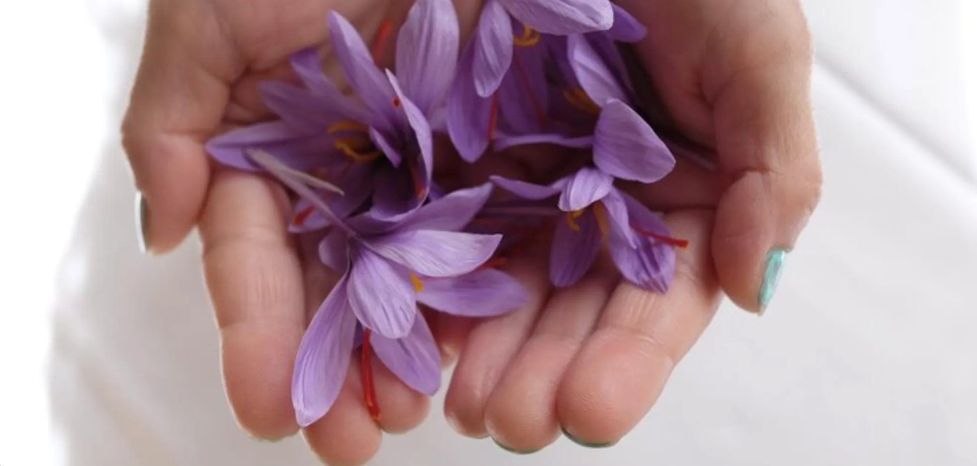 تاثیر زعفران بر پریود و اختلال قاعدگی