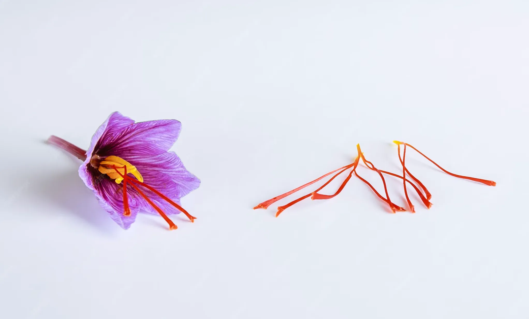 خرید زعفران اصل و ارگانیک