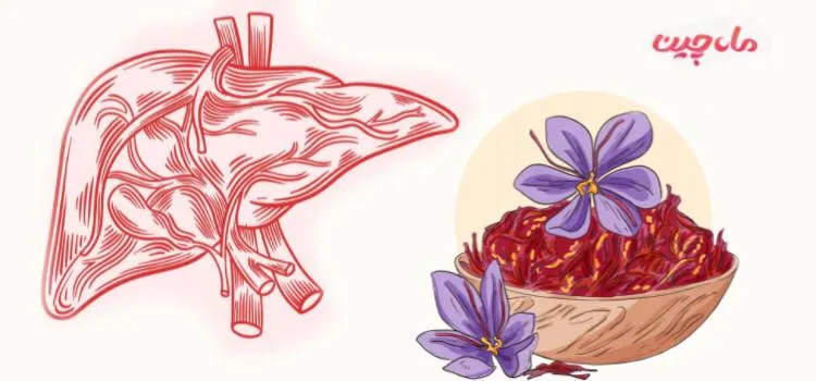 زعفران چگونه به درمان کبد چرب کمک می‌کند؟