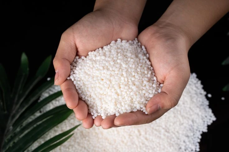 روش استفاده از کود سفید برای زعفران