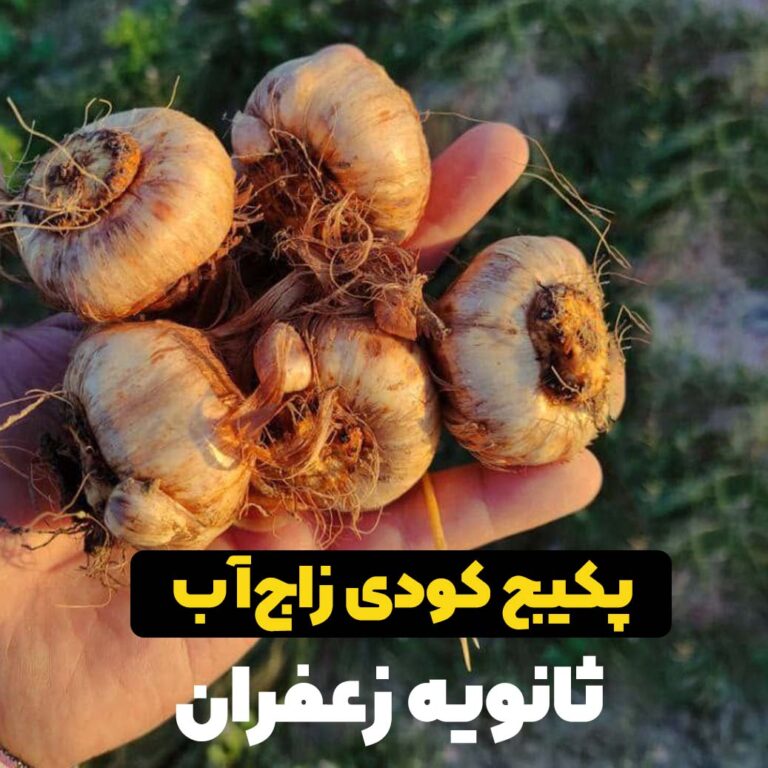 زاج آب ثانویه