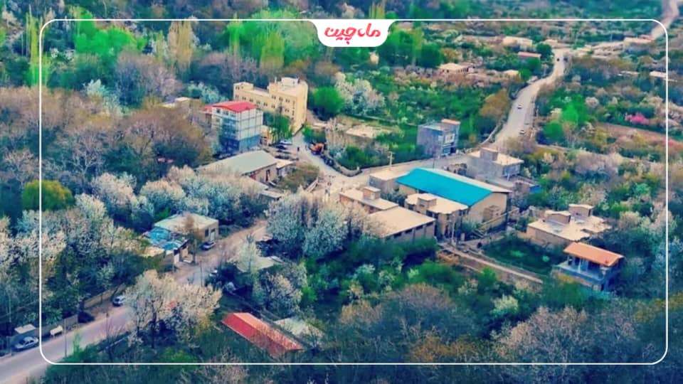 کاشت زعفران در خراسان شمالی