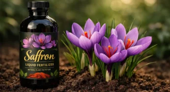 کود زعفران مایع