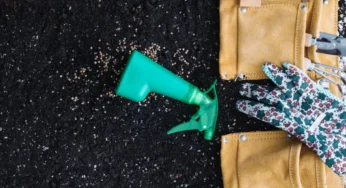 کود ۲۰۲۰۲۰ برای زعفران