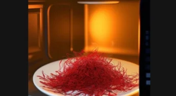 خشک کردن زعفران در ماکروویو