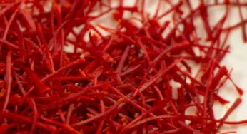 خشک کردن زعفران اتویی