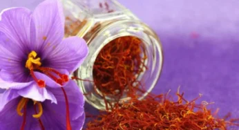 بهترین ظروف نگهداری زعفران