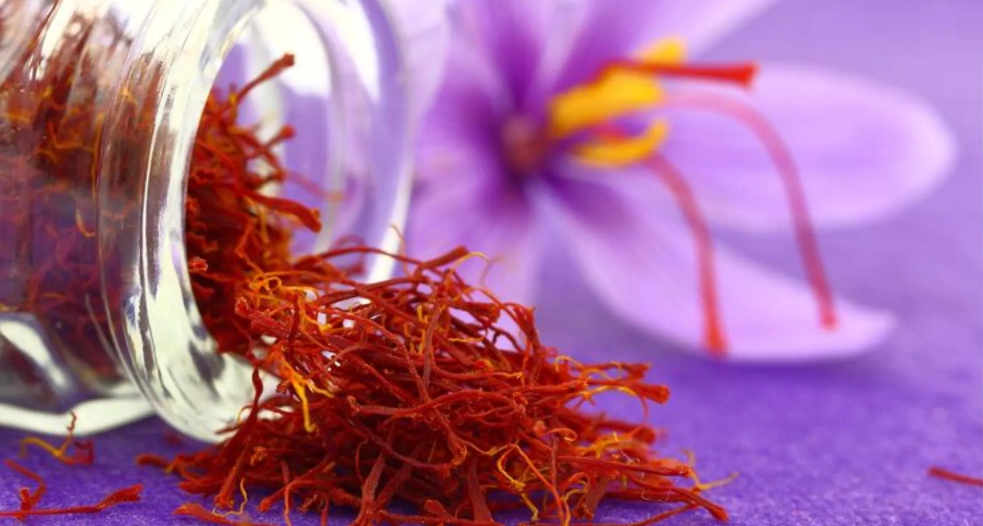 زعفران را در چه دمایی نگهداری کنیم؟