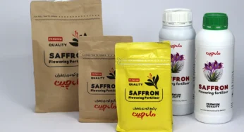 کود شیمیایی برای زعفران