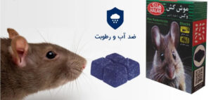 موش کش وکس جعبه ای هلاک 100 گرمی