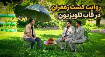 روایت کاشت زعفران| از دل خاک تا قاب تلویزیون