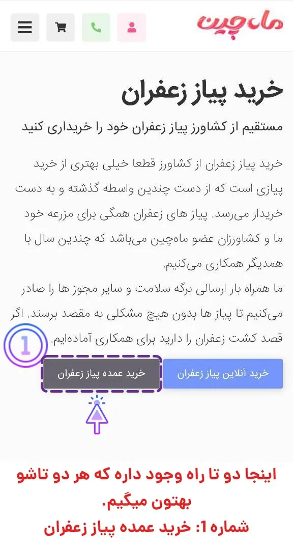 صفحه خرید پیاز زعفران