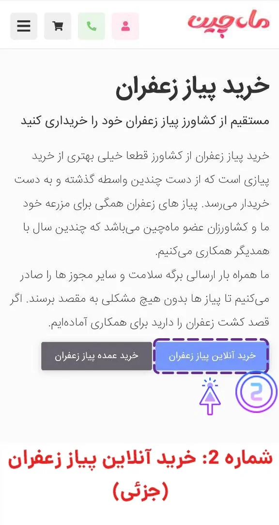 خرید آنلاین پیاز زعفران