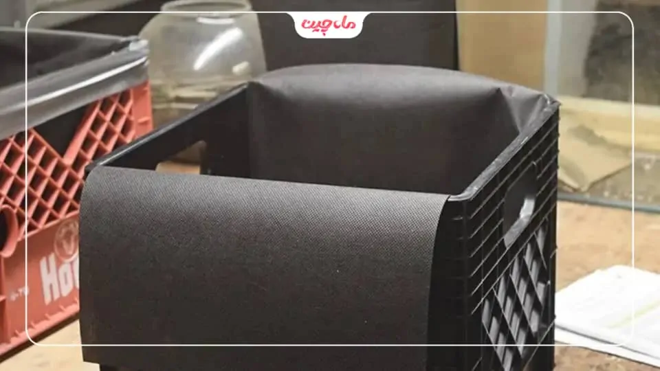 کاشت زعفران در جعبه