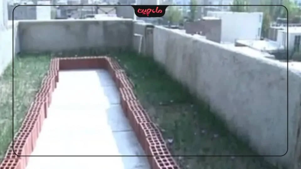 کاشت زعفران در پشت بام
