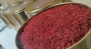 زعفران خشک شده