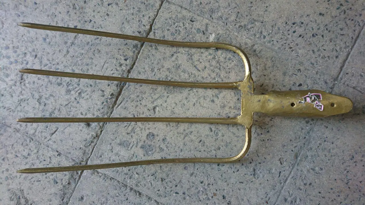 چهار شاخ سله شکنی