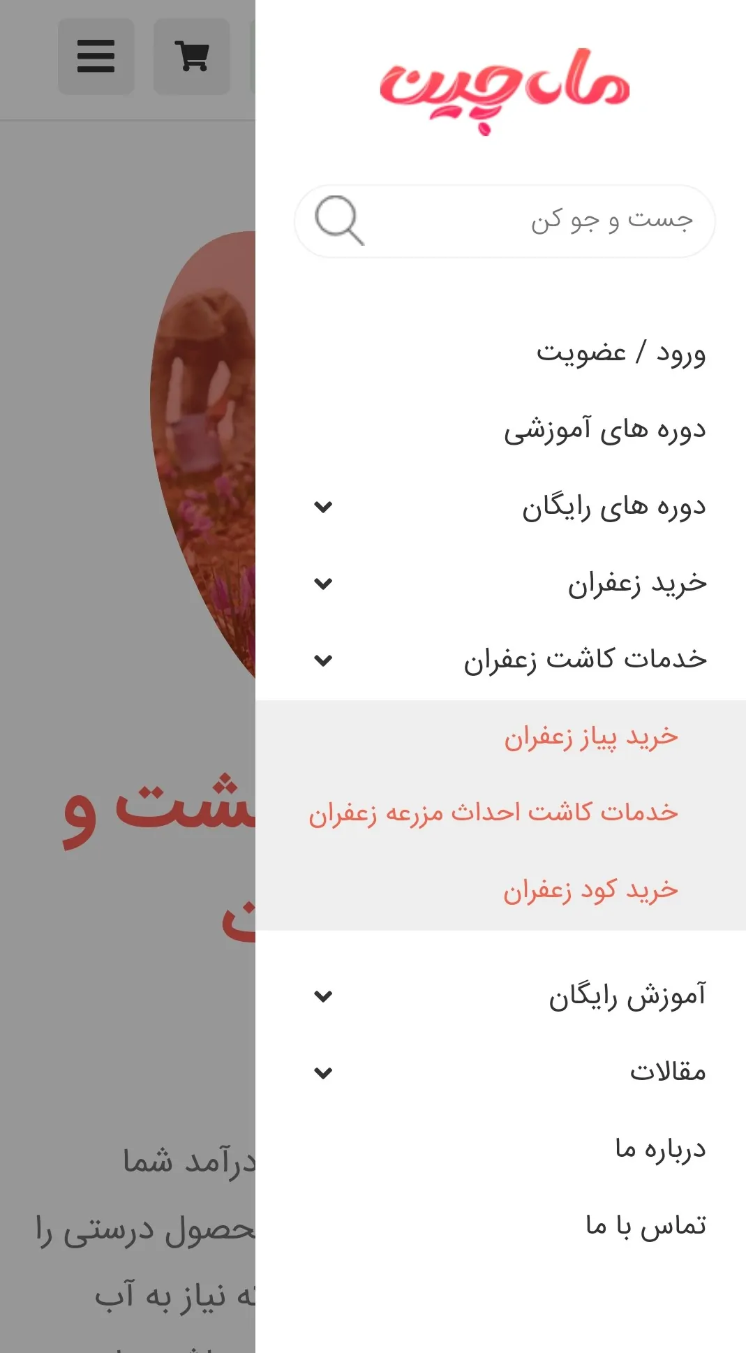 آموزش خرید پیاز زعفران