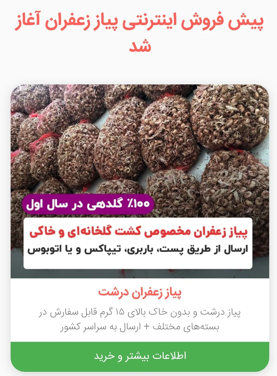 آموزش خرید پیاز زعفران