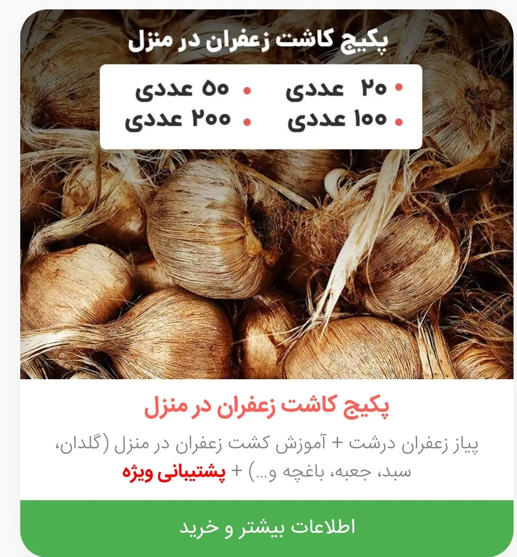 آموزش خرید پیاز زعفران