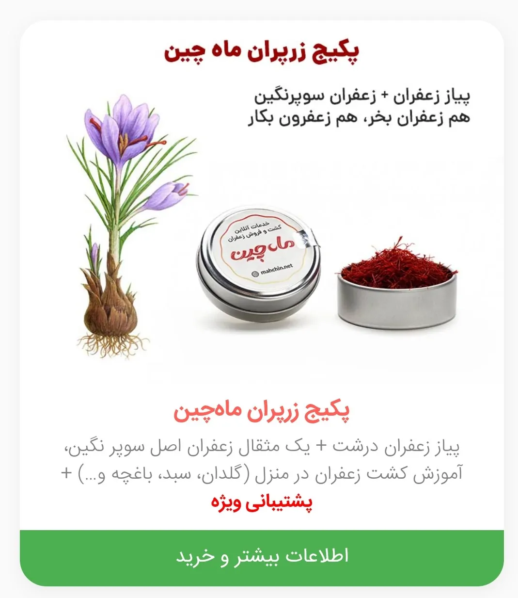 آموزش خرید پیاز زعفران