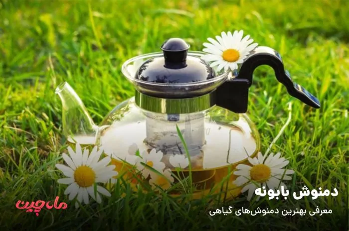 دمنوش بابونه