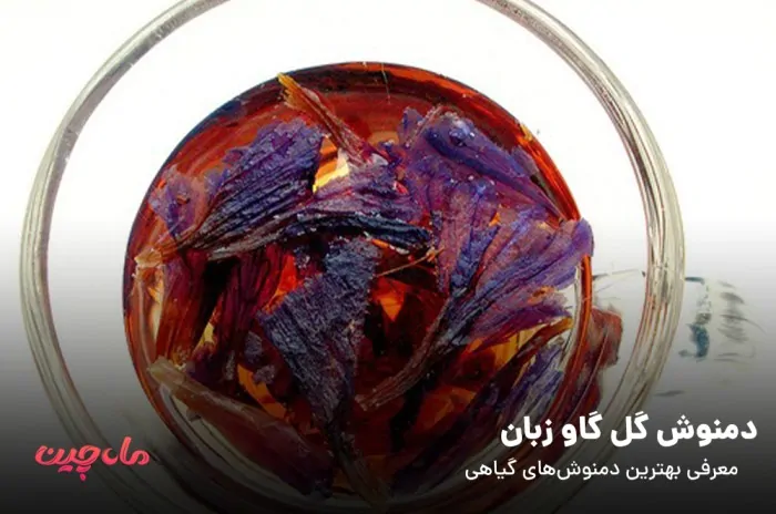 دمنوش گل گاو زبان