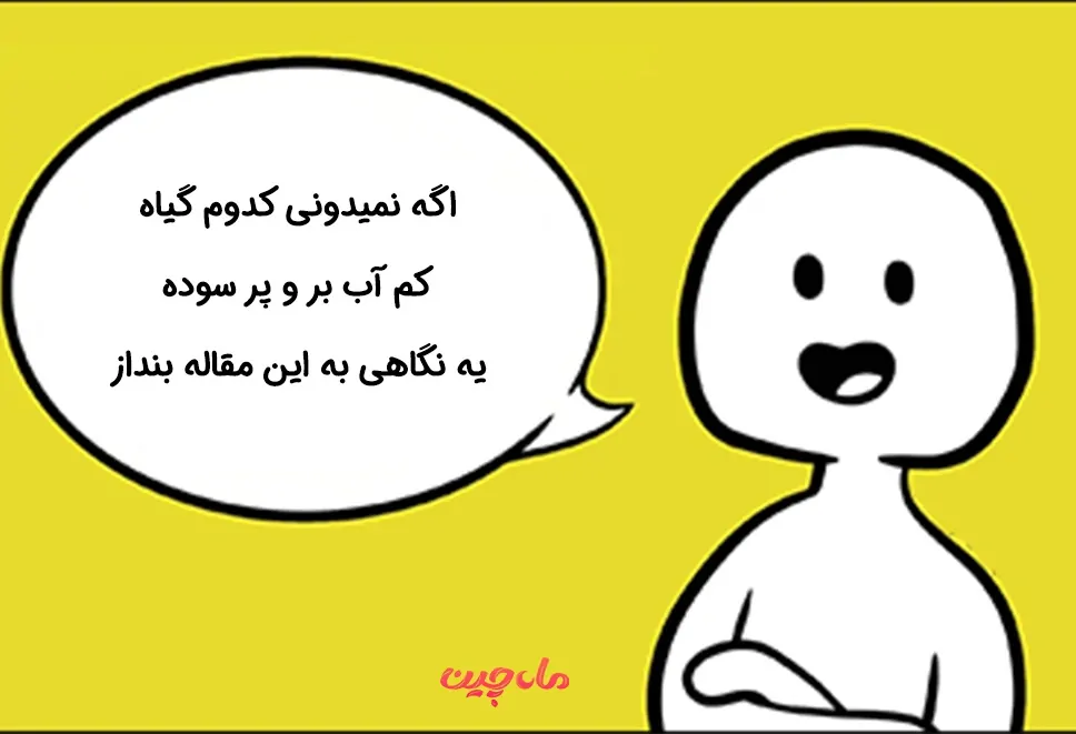 گیاهان دارویی کم آب بر و پر سود