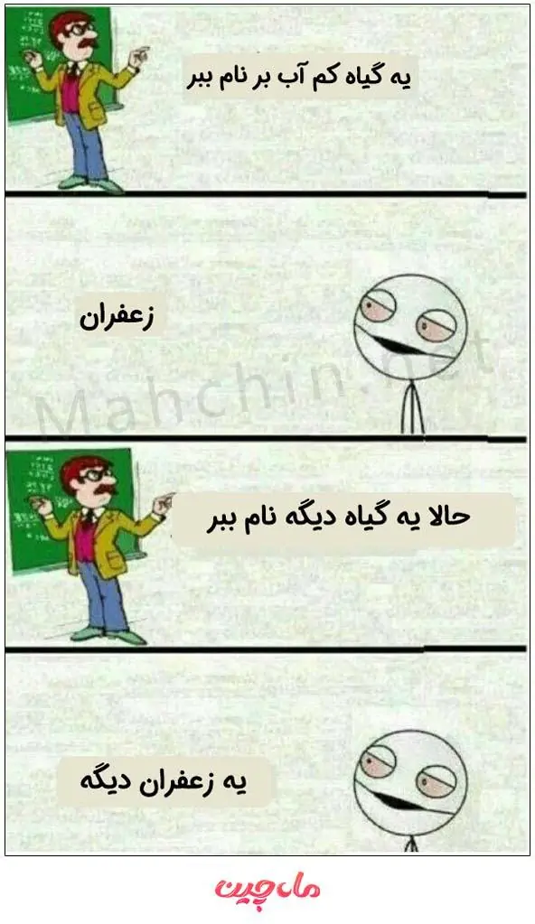 زعفران گیاهی کم اب بر و پر سود