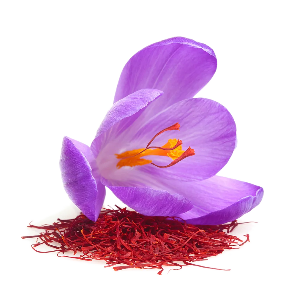 روش مصرف جوقاسم یا همان پیاز زعفران کوهی