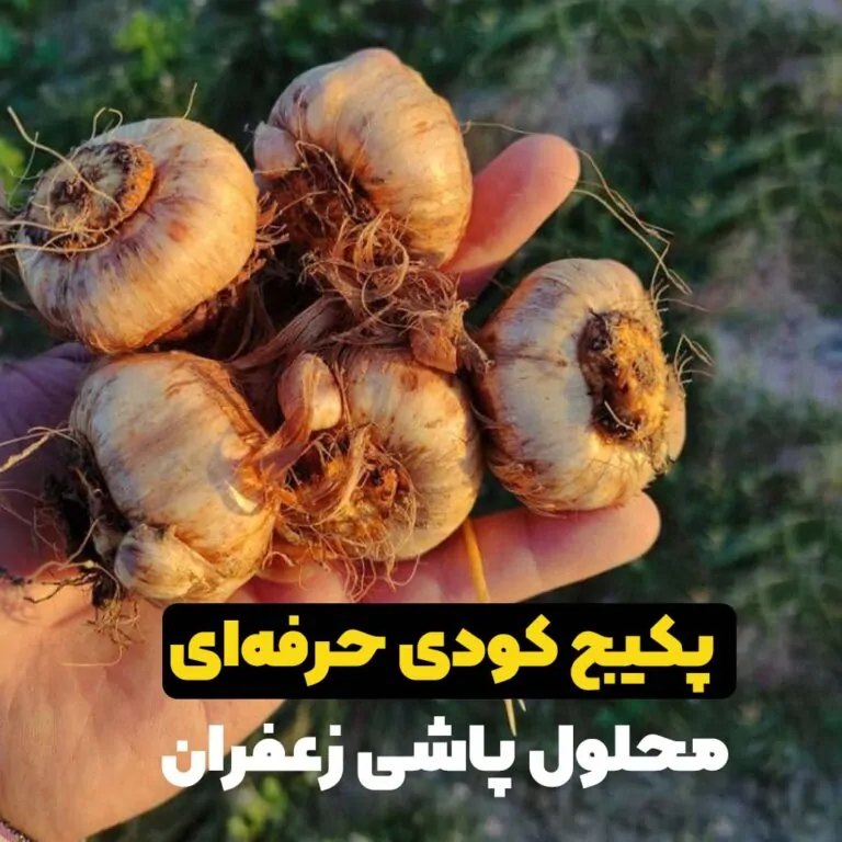 پکیج کودی محلول پاشی زعفران