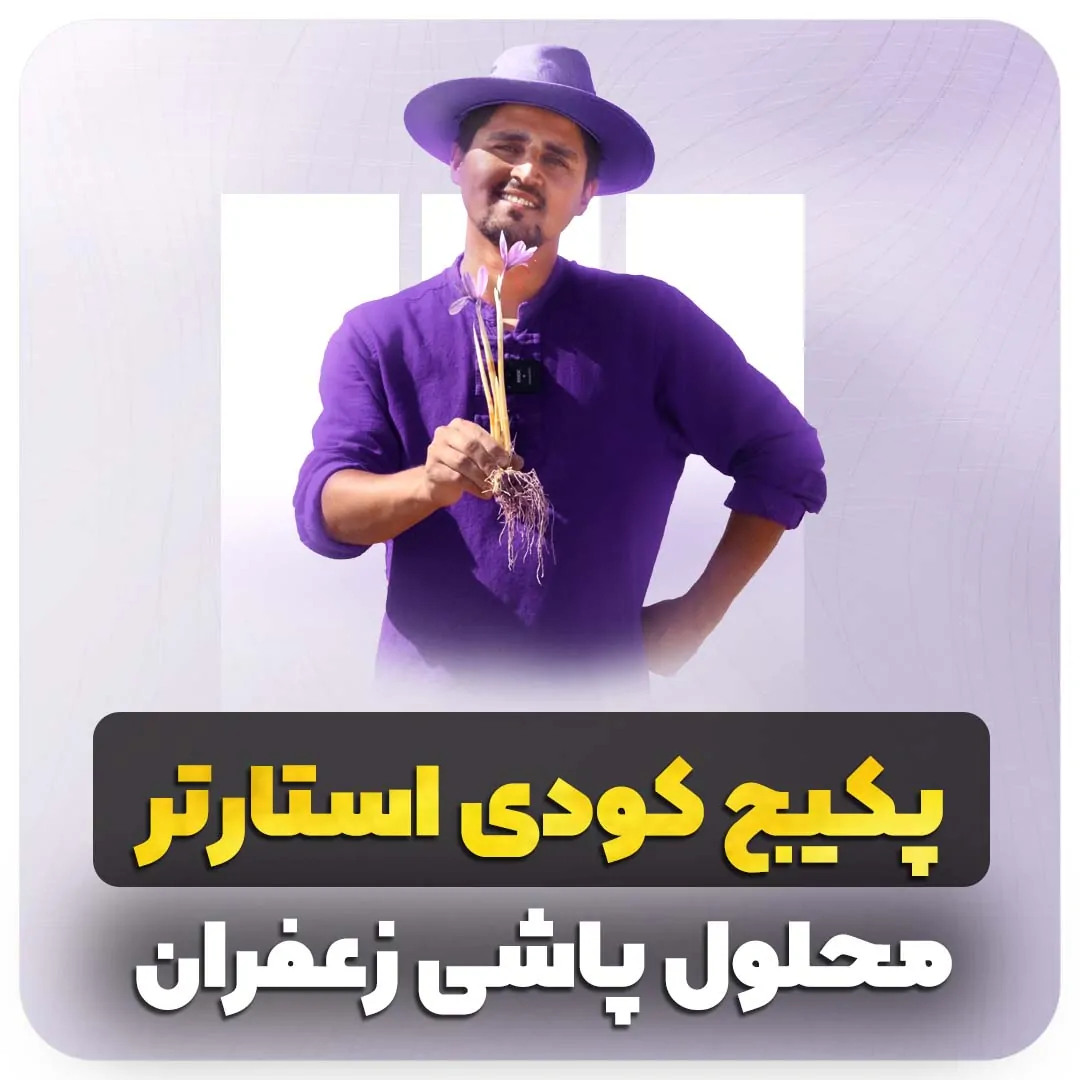 پکیج کودی استارتر محلول پاشی زعفران