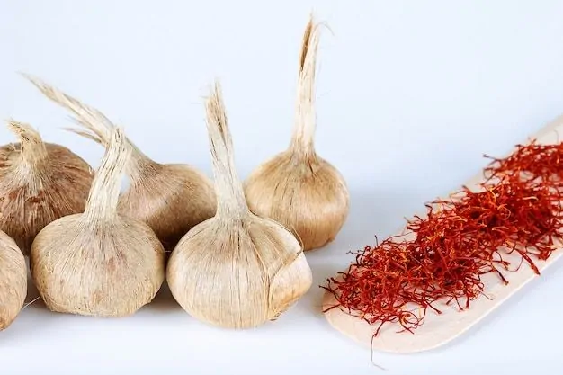 بهترین کود برای درشت شدن پیاز زعفران