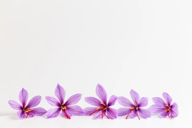 مضرات زعفران برای مردان