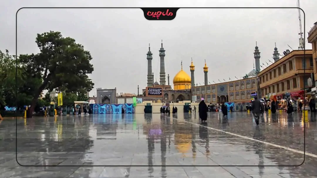 کشت زعفران در قم